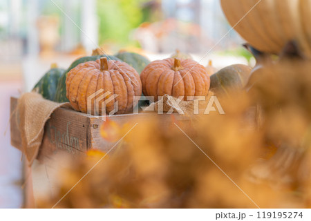 ハロウィン・イベント イメージ 119195274