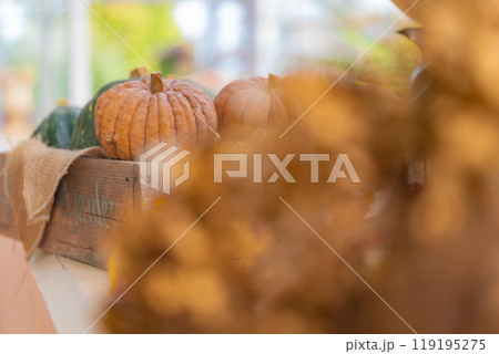 ハロウィン・イベント イメージ 119195275