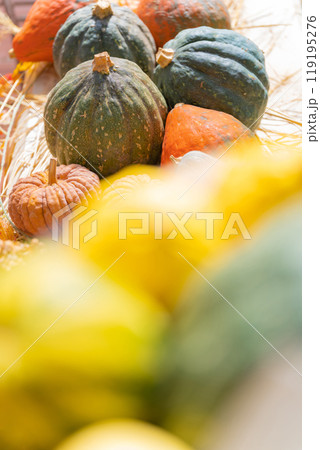 ハロウィン・イベント イメージ 119195276