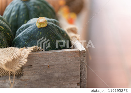 ハロウィン・イベント イメージ ハロウィン・イベント イメージ 119195278