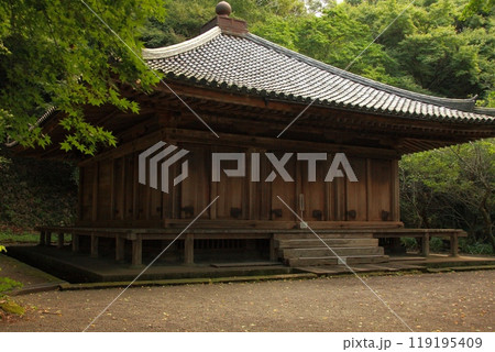 新緑の富貴寺大堂斜め前方 119195409