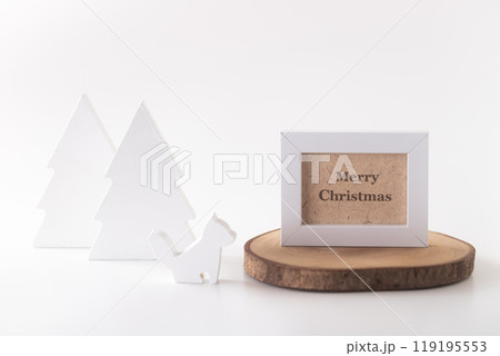 可愛い動物のホワイトクリスマス 119195553