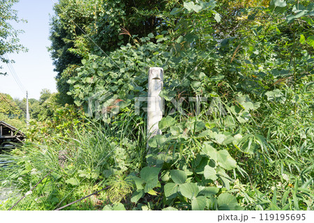 鶴川台尾根緑地の入口(栗平丘陵) 鶴川台尾根緑地の入口(栗平丘陵) 119195695