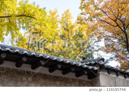 Deoksugung Stonewall Walkway with beautiful autumn foliage. It is the pedestrian footpath that runs next to Deoksugung Palace in Seoul, South Korea Deoksugung Stonewall Walkway with beautiful autumn foliage. It is the pedestrian footpath that runs next to Deoksugung Palace in Seoul, South Korea 119195748