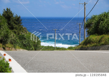 与那国島 海岸線沿いの道路(南牧場付近) 与那国島 海岸線沿いの道路(南牧場付近) 119195848