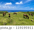 与那国島・東崎牧場の与那国馬 119195911