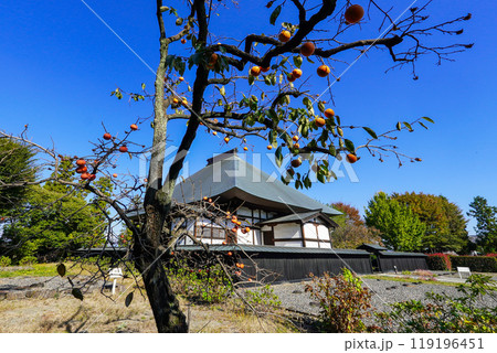 徳川氏発祥の地に遺る縁切寺満徳寺遺跡(群馬県太田市) 徳川氏発祥の地に遺る縁切寺満徳寺遺跡(群馬県太田市) 119196451