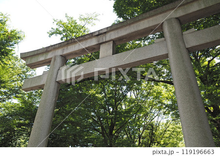 大國魂神社の大鳥居【東京都府中市】 119196663