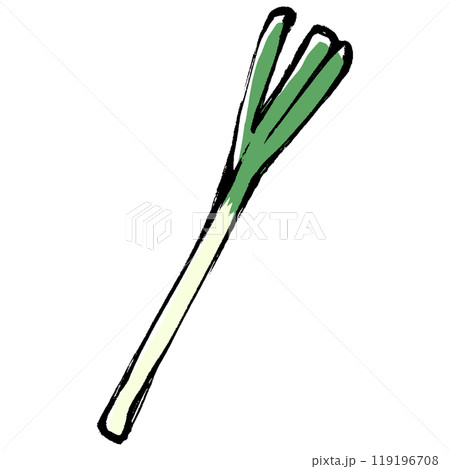筆タッチの長ネギのイラスト 119196708