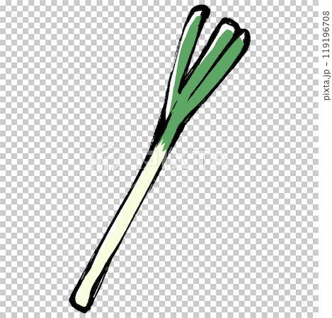 筆タッチの長ネギのイラスト 119196708