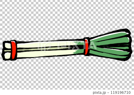 筆タッチの長ネギの束のイラスト 119196710