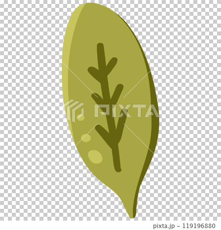Leaf simple illustration 119196880