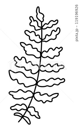 Black and white fern leaves icon. Forest or woodland plant clipart isolated on white background. Botanical foliage design element. Simple greenery branch line illustration for kids 119196926