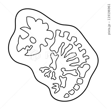 Vector black and white triceratops bones icon. Cute dinosaur fossils line illustration. Funny excavated dino clipart isolated on white background. Cartoon prehistoric animal coloring page 119196961