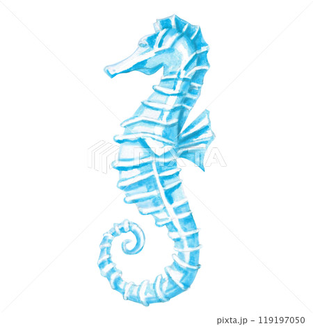 Seahorse hand drawn. Isolated watercolor realistic illustration of sea creature for fish restaurant design, menu, textile, posters Seahorse hand drawn. Isolated watercolor realistic illustration of sea creature for fish restaurant design, menu, textile, posters 119197050