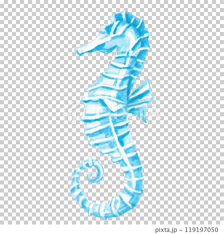 Seahorse hand drawn. Isolated watercolor realistic illustration of sea creature for fish restaurant design, menu, textile, posters Seahorse hand drawn. Isolated watercolor realistic illustration of sea creature for fish restaurant design, menu, textile, posters 119197050