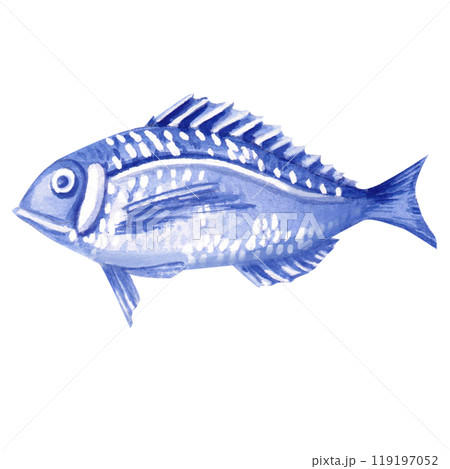 Fish painted in watercolor. Isolated illustration of marine vertebrate in realistic style for restaurant design, menu, textile, posters, tableware, holiday decoration Fish painted in watercolor. Isolated illustration of marine vertebrate in realistic style for restaurant design, menu, textile, posters, tableware, holiday decoration 119197052