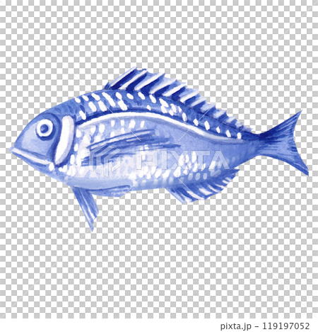 Fish painted in watercolor. Isolated illustration of marine vertebrate in realistic style for restaurant design, menu, textile, posters, tableware, holiday decoration Fish painted in watercolor. Isolated illustration of marine vertebrate in realistic style for restaurant design, menu, textile, posters, tableware, holiday decoration 119197052