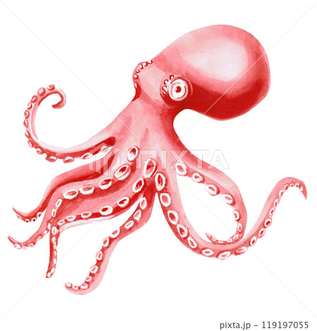 Octopus painted in watercolor. Isolated illustration of sea animal in realistic style for restaurant design, menu, textile, posters, tableware, holiday decoration Octopus painted in watercolor. Isolated illustration of sea animal in realistic style for restaurant design, menu, textile, posters, tableware, holiday decoration 119197055
