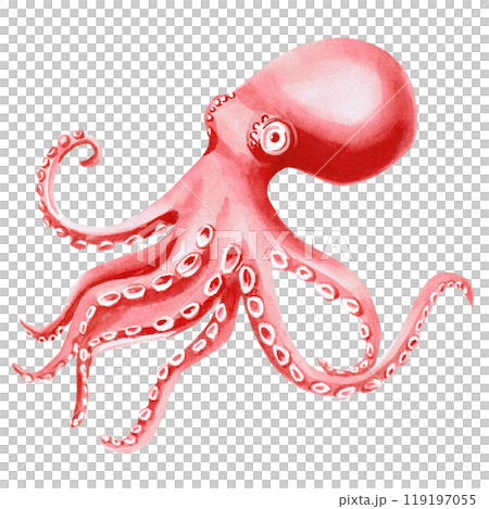 Octopus painted in watercolor. Isolated illustration of sea animal in realistic style for restaurant design, menu, textile, posters, tableware, holiday decoration Octopus painted in watercolor. Isolated illustration of sea animal in realistic style for restaurant design, menu, textile, posters, tableware, holiday decoration 119197055
