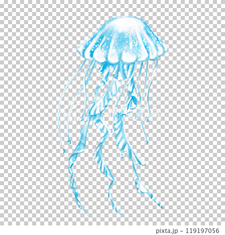 Jellyfish painted in watercolor. Isolated illustration of sea animal in realistic style for restaurant design, menu, textile, posters, tableware, holiday decoration Jellyfish painted in watercolor. Isolated illustration of sea animal in realistic style for restaurant design, menu, textile, posters, tableware, holiday decoration 119197056
