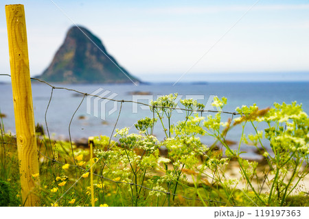 Sea coast sandy beach in resort Bleik Andoya Norway Sea coast sandy beach in resort Bleik Andoya Norway 119197363