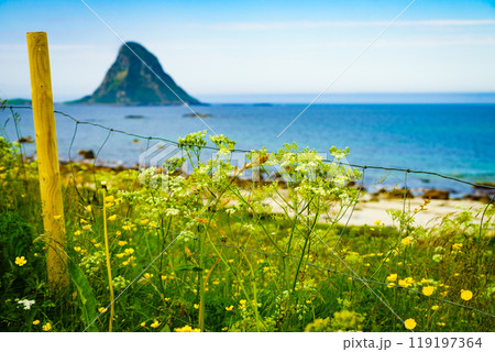 Sea coast sandy beach in resort Bleik Andoya Norway Sea coast sandy beach in resort Bleik Andoya Norway 119197364