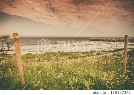 Sea coast sandy beach in resort Bleik Andoya Norway 119197375