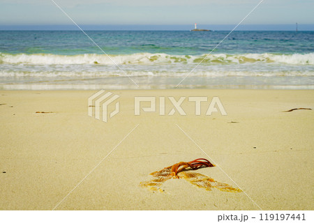 Seascape sandy beach with lighthouse on horizon Seascape sandy beach with lighthouse on horizon 119197441