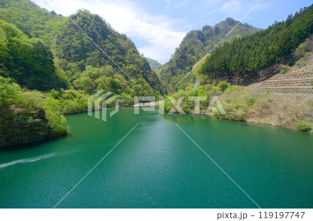 大仁田ダムから望む大仁田湖 119197747