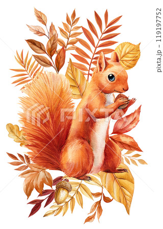 Watercolor autumn squirrel illustration: Fluffy orange squirrel with fall leaves in a cozy autumn scene animal isolated Watercolor autumn squirrel illustration: Fluffy orange squirrel with fall leaves in a cozy autumn scene animal isolated 119197752