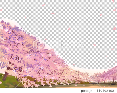 Row of cherry trees 119198408