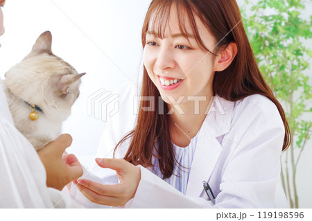 猫の診察をする女性獣医師 猫の診察をする女性獣医師 119198596