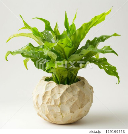 Elegant Birds Nest Fern in a Textured Stone Pot. Generative ai 119199358