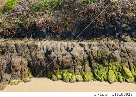 瀬戸内しまなみ海道の能島 村上海賊の居城跡 瀬戸内しまなみ海道の能島 村上海賊の居城跡 119199925