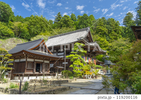 奈良　岡寺（龍蓋寺）　本堂と開山堂 119200116