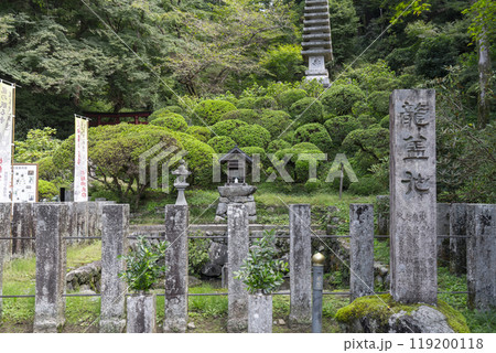 奈良　岡寺（龍蓋寺）　龍蓋池　 119200118