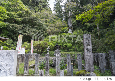 奈良　岡寺（龍蓋寺）　龍蓋池 119200120