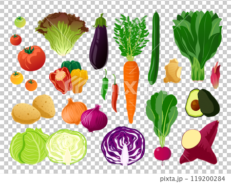 Vector illustration set of various vegetables 119200284
