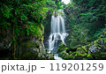 癒しの森と清流が織りなす滝 119201259