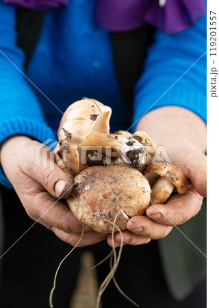 A person is holding a mushrooms in their hand 119201557
