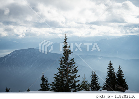 Snowy winter landscape with trees in foreground and mountains and foggy valley in background Snowy winter landscape with trees in foreground and mountains and foggy valley in background 119202110