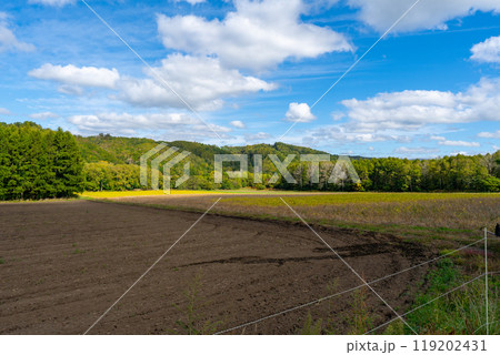 北海道の道路の風景　羊蹄山方面 119202431