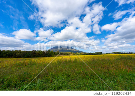 北海道の道路の風景　羊蹄山方面 119202434