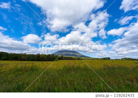北海道の道路の風景　羊蹄山方面 119202435