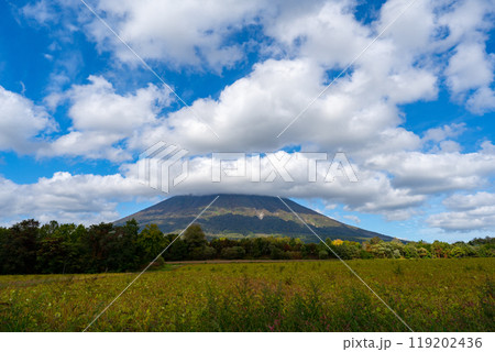 北海道の道路の風景　羊蹄山方面 119202436