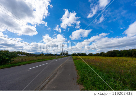 北海道の道路の風景　羊蹄山方面 119202438