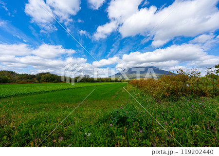 北海道の道路の風景　羊蹄山方面 119202440