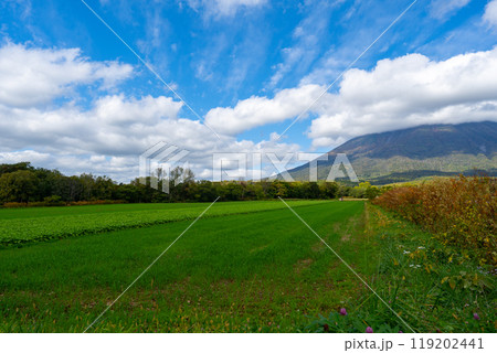 北海道の道路の風景　羊蹄山方面 119202441