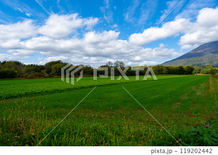 北海道の道路の風景　羊蹄山方面 119202442